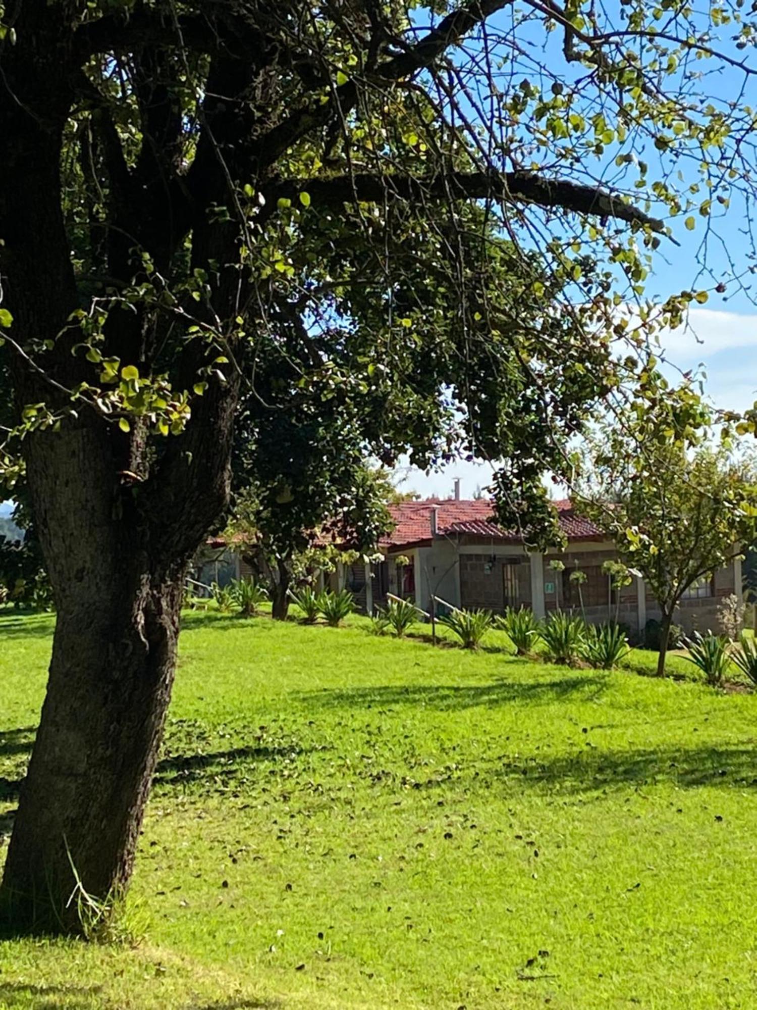 Cabanas Huerta La Mision, Сакатлан Экстерьер фото